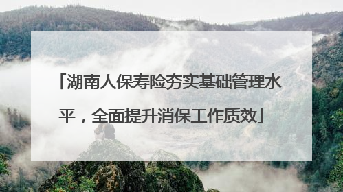 湖南人保寿险夯实基础管理水平，全面提升消保工作质效